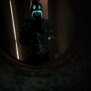 Glow-in-the-Dark bape hoodie